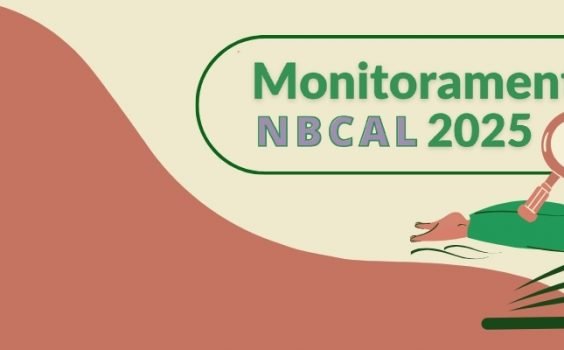 MONITORAMENTO DA NBCAL 2025