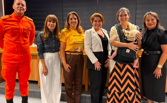 Seminário no DF reúne atuação de hoje e de ontem na história da IBFAN Brasil