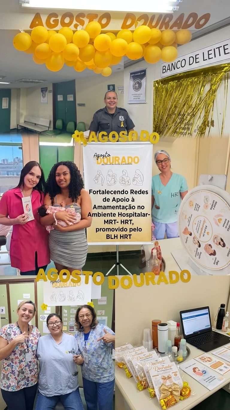 Registro da atividade Fortalecendo redes de apoio à amamentação no ambiente hospitalar, enviado por Natália Oliveira de Souza Conceição Clarentino